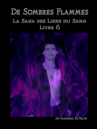 Обложка книги «De Sombres Flammes»