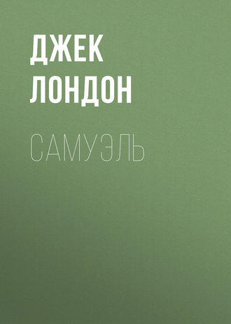 Обложка книги «Самуэль»