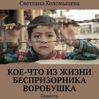 Обложка книги «Кое-что из жизни беспризорника Воробушка. Повесть»