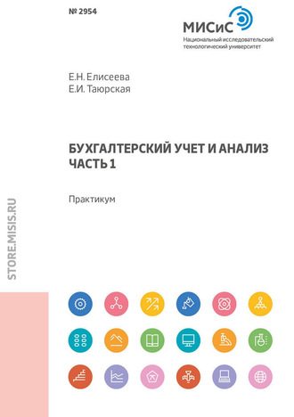 Евгения Николаевна Елисеева. Бухгалтерский учет и анализ. Часть 1. Практикум