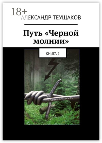 Обложка книги «Путь «Черной молнии». Книга 2»