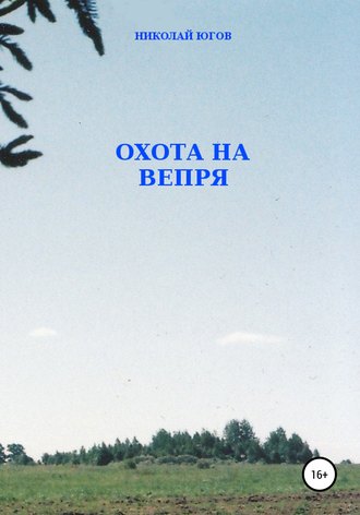Обложка книги «Охота на вепря»