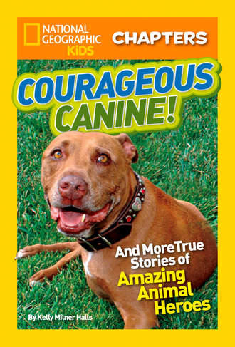 Kelly Halls Milner. National Geographic Kids Chapters: Courageous Canine: And More True Stories of Amazing Animal Heroes