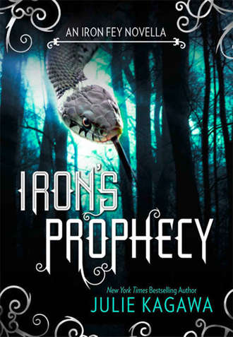 Julie Kagawa. Iron's Prophecy