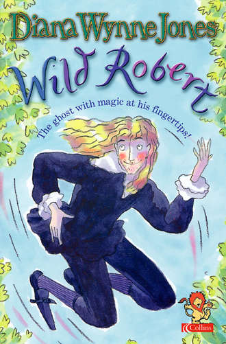 Diana Wynne Jones. Wild Robert