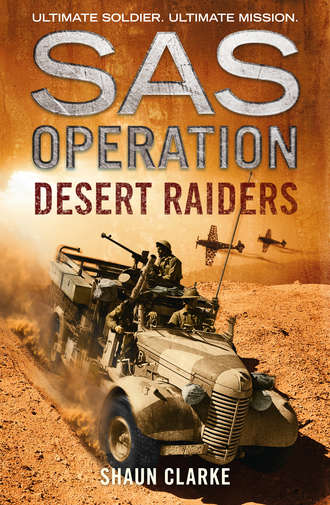 Shaun  Clarke. Desert Raiders