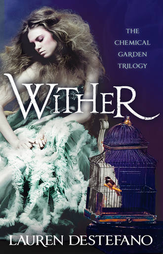 Lauren  DeStefano. Wither