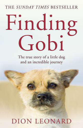 Dion  Leonard. Finding Gobi