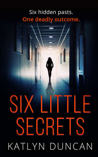 Katlyn  Duncan. Six Little Secrets