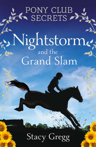 Stacy  Gregg. Nightstorm and the Grand Slam