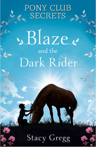 Stacy  Gregg. Blaze and the Dark Rider