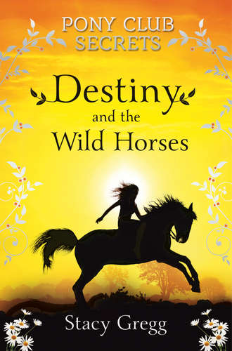 Stacy  Gregg. Destiny and the Wild Horses