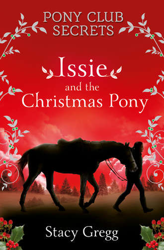 Stacy  Gregg. Issie and the Christmas Pony: Christmas Special