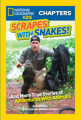 Brady  Barr. National Geographic Kids Chapters: Scrapes With Snakes: True Stories of Adventures With Animals