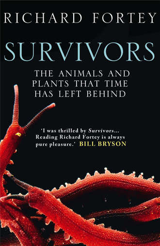 Richard  Fortey. Survivors: The Animals and Plants that Time has Left Behind