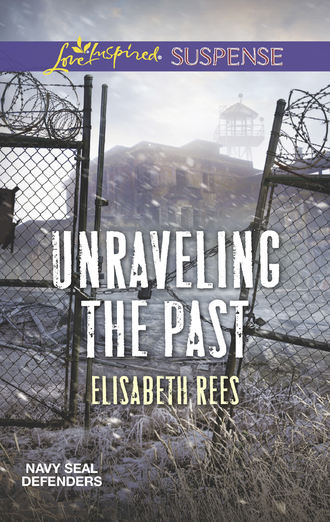 Elisabeth  Rees. Unraveling The Past