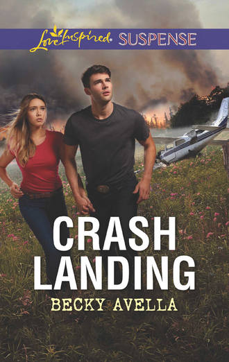 Becky  Avella. Crash Landing