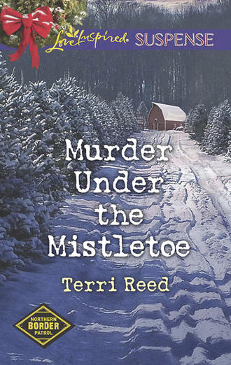 Terri  Reed. Murder Under The Mistletoe