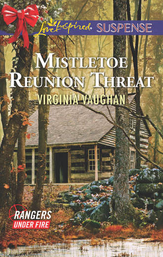 Virginia  Vaughan. Mistletoe Reunion Threat