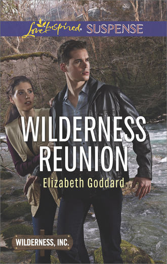 Elizabeth  Goddard. Wilderness Reunion