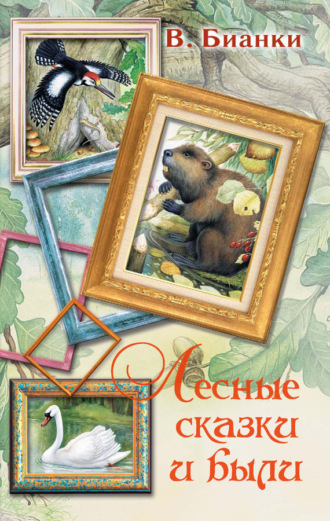 Обложка книги «Лесные сказки и были (сборник)»
