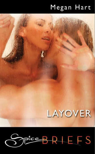 Megan Hart. Layover