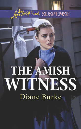 Diane  Burke. The Amish Witness