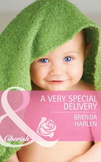 Brenda  Harlen. A Very Special Delivery