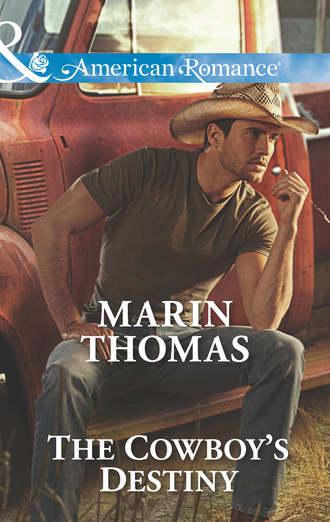 Marin  Thomas. The Cowboy's Destiny