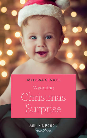 Melissa  Senate. Wyoming Christmas Surprise