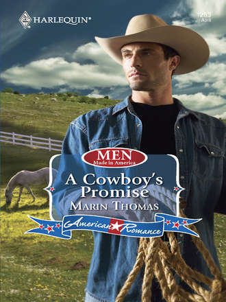 Marin  Thomas. A Cowboy's Promise