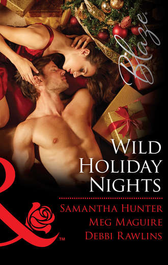 Meg  Maguire. Wild Holiday Nights: Holiday Rush / Playing Games / All Night Long