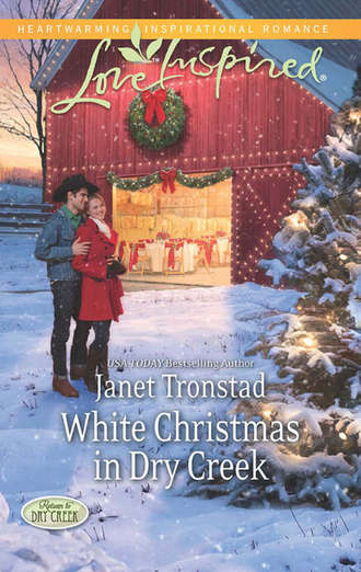 Janet  Tronstad. White Christmas in Dry Creek