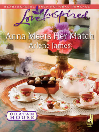 Arlene  James. Anna Meets Her Match