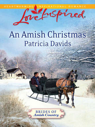 Patricia  Davids. An Amish Christmas