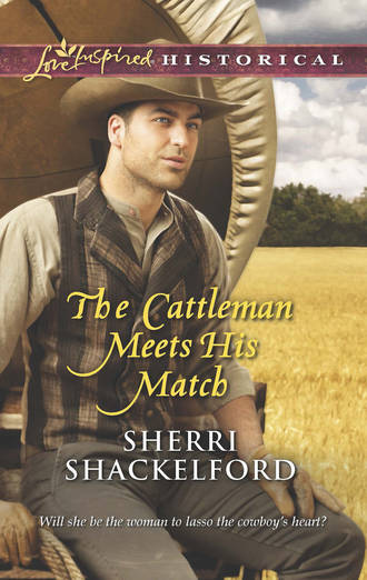 Sherri  Shackelford. The Cattleman Meets His Match