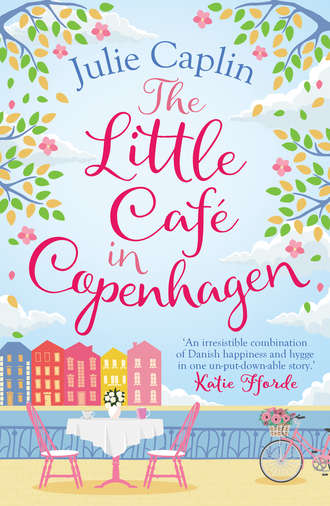 Julie  Caplin. The Little Caf? in Copenhagen: Fall in love and escape the winter blues with this wonderfully heartwarming and feelgood novel