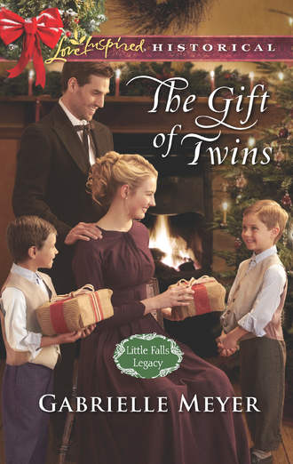 Gabrielle  Meyer. The Gift Of Twins