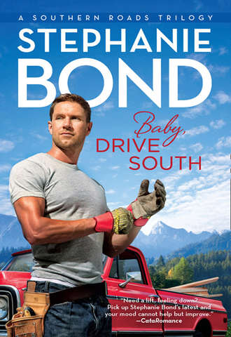 Stephanie  Bond. Baby, Drive South