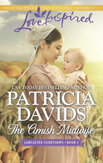 Patricia  Davids. The Amish Midwife