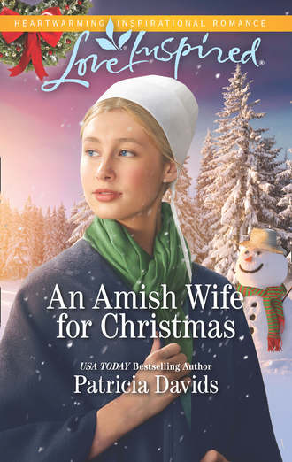 Patricia  Davids. An Amish Wife For Christmas