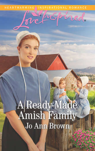 Jo Brown Ann. A Ready-Made Amish Family