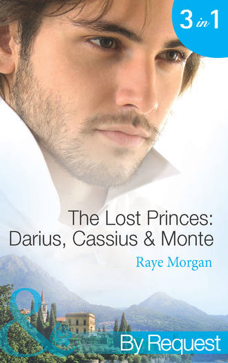 Raye  Morgan. The Lost Princes: Darius, Cassius and Monte