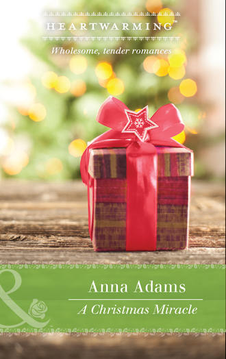 Anna  Adams. A Christmas Miracle