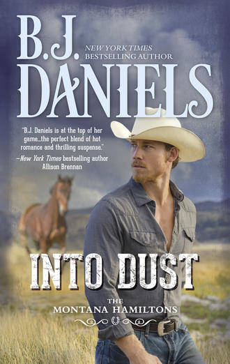 B.J.  Daniels. Into Dust