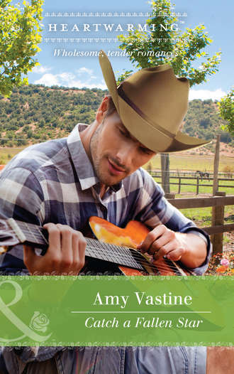 Amy  Vastine. Catch A Fallen Star