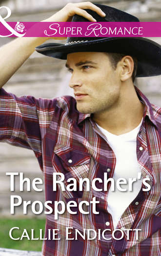 Callie  Endicott. The Rancher's Prospect