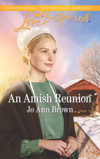 Jo Brown Ann. An Amish Reunion