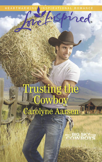 Carolyne  Aarsen. Trusting The Cowboy