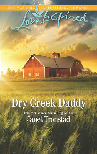 Janet  Tronstad. Dry Creek Daddy